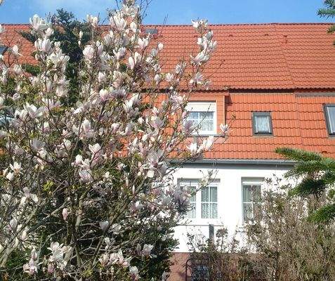 Leuna, Rückseite.jpg