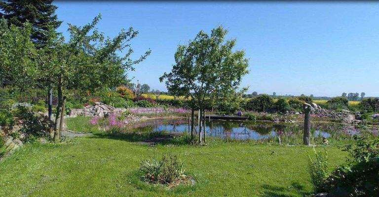 Schwimmteich Bild 2.jpg