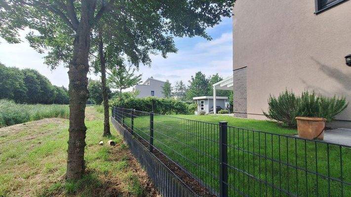 Weinreben Garten - Fleetseite