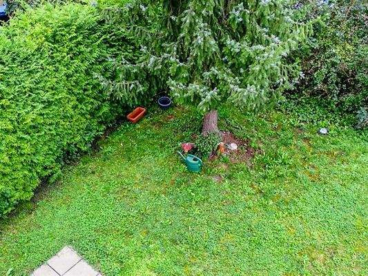 Blick in gem. Garten