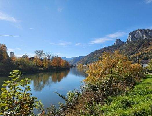HP10-Einfamilienhaus-Hallein-Landschaft
