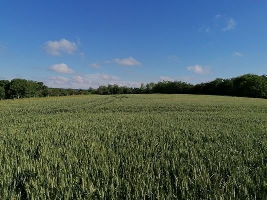 Baugrundstück