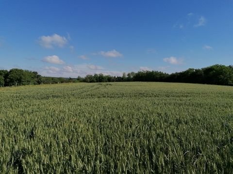 Galambok / Zalakaros Grundstücke, Galambok / Zalakaros Grundstück kaufen