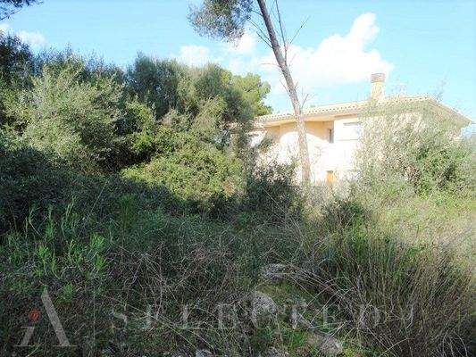 Urban plot in Can Picafort_03