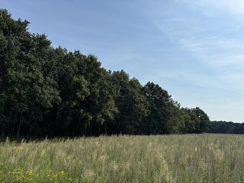 Küsten Bauernhöfe, Landwirtschaft, Küsten Forstwirtschaft