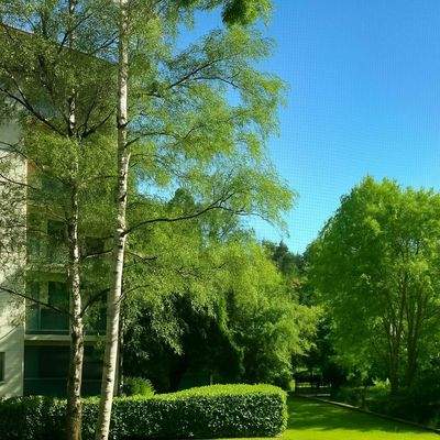 Sommerfoto blick von der Wohnung