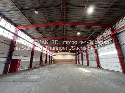 Leipzig Halle, Leipzig Hallenfläche