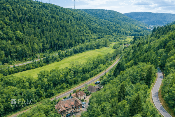 Enztal Richtung Höfen