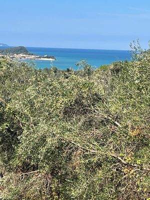 Weitsicht auf die Bucht