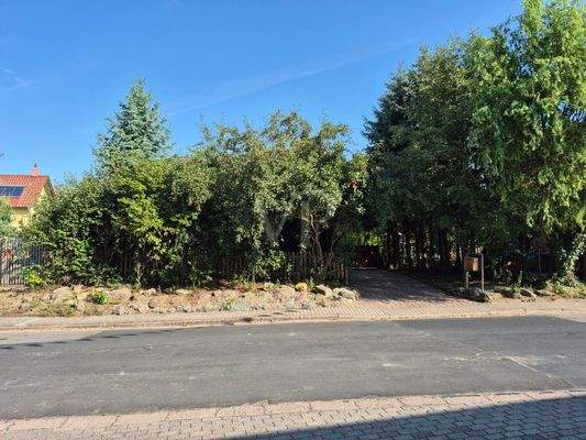 Ansicht Süden mit Zugangsweg Haus