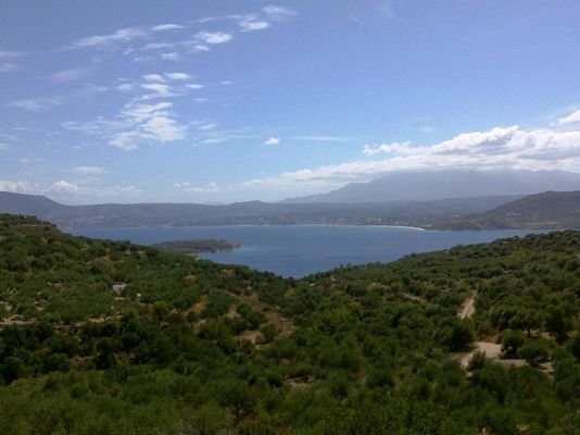 Abgeschiedenes Grundstück mit Oliven und Meerblick