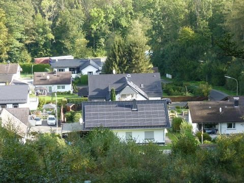 Wiehl Bauernhöfe, Landwirtschaft, Wiehl Forstwirtschaft