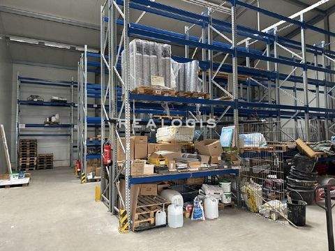 Halstenbek Halle, Halstenbek Hallenfläche