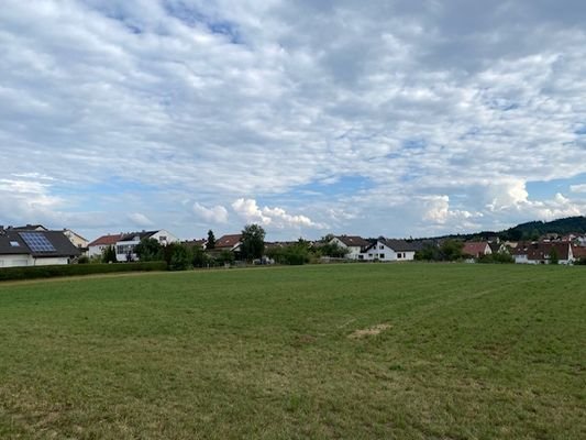 IMG_7792.jpeg