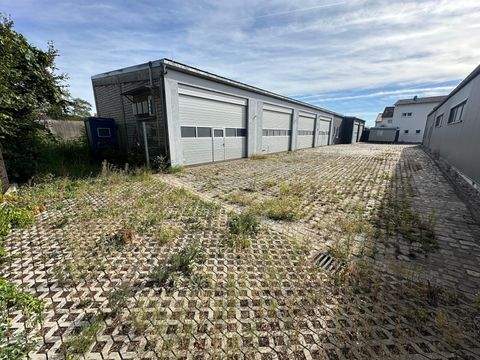 Erlangen Halle, Erlangen Hallenfläche