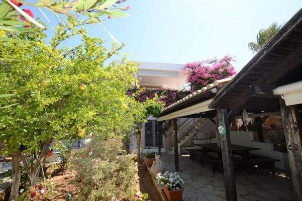 Freistehende Villa mit drei Schlafzimmern und Gästeapartment, Olivenhain und Pool