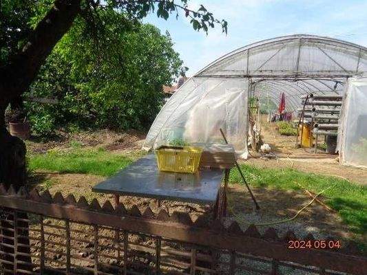 3 Gewächshäuser hinter dem Haus