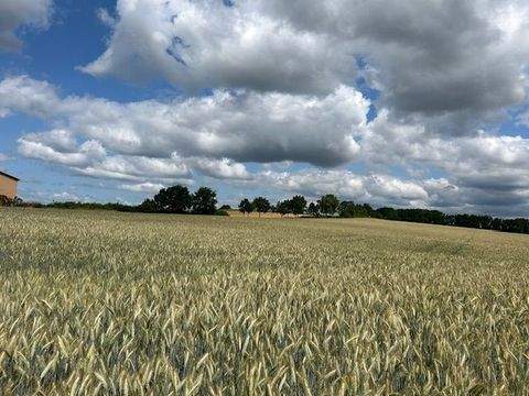 Untersiemau / Birkach am Forst Grundstücke, Untersiemau / Birkach am Forst Grundstück kaufen