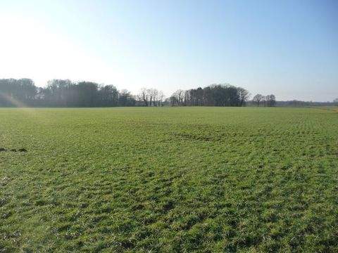 Alfhausen Bauernhöfe, Landwirtschaft, Alfhausen Forstwirtschaft