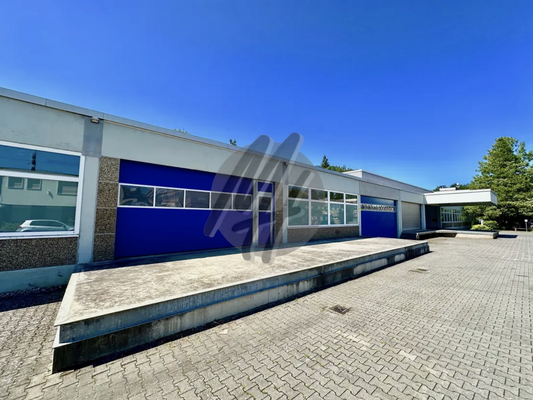 INFOS UNTER: 06171-586000