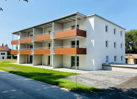 Höchst Wohnungen, Höchst Wohnung mieten