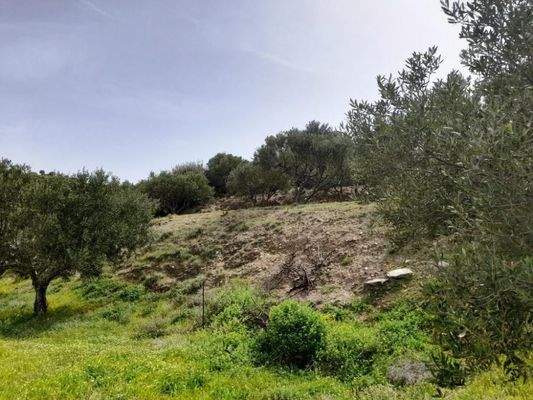 Kreta, Mochlos: Steinhaus mit Meerblick zu verkaufen