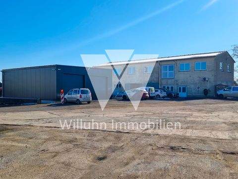 Leipzig Halle, Leipzig Hallenfläche