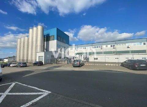 Lindlar Halle, Lindlar Hallenfläche