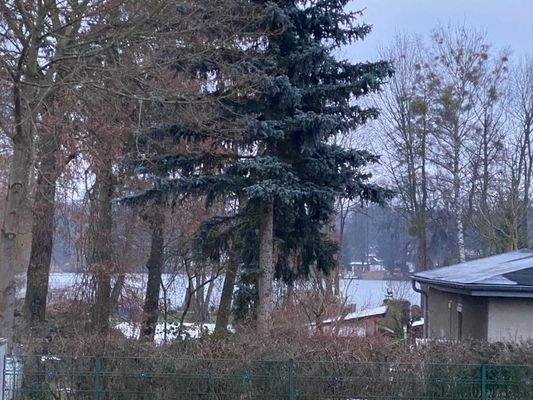 P Wasserblick Peetzsee.jpeg