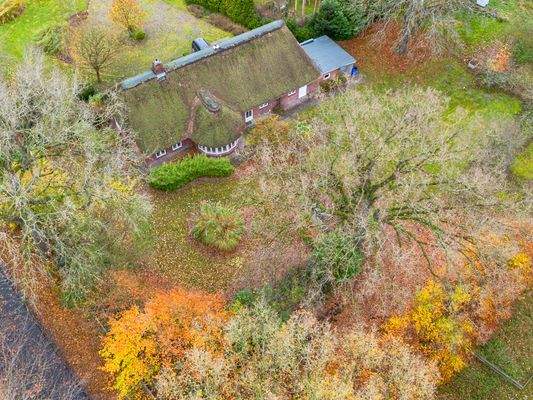 14. Luftaufnahme Garten.jpg