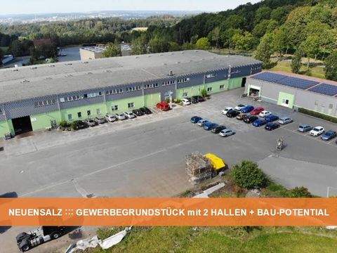 Neuensalz Halle, Neuensalz Hallenfläche