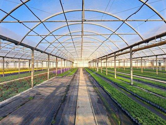 Foliengewächshäuser