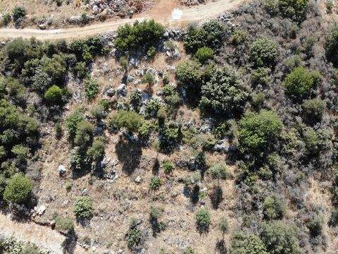 Neo Chorio im Apokoronas Grundstücke, Neo Chorio im Apokoronas Grundstück kaufen