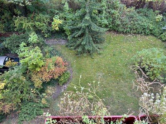 Blick in den Garten