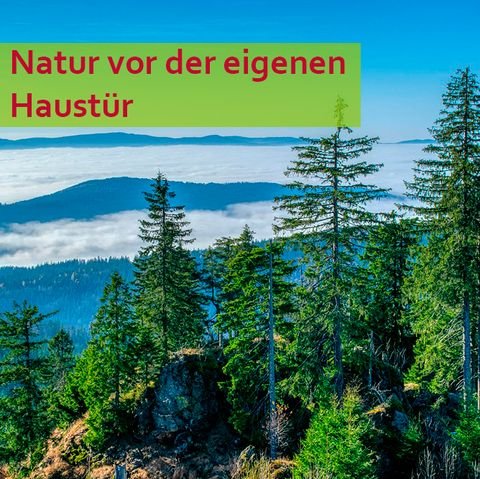 Hof Häuser, Hof Haus kaufen