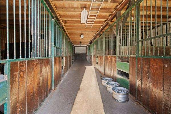 8 Pferdeboxen in der Stallhalle anliegend zur Reithalle und Anliegerwohnung Altbestand 