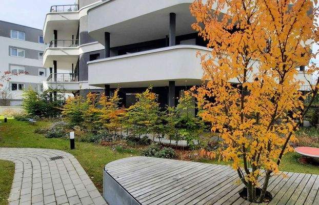 Terrasse und Außenanlage