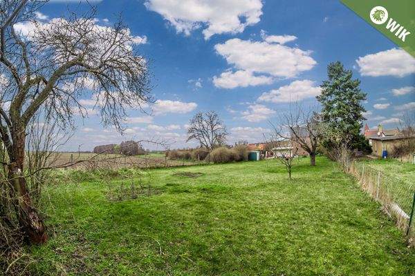 Die grünen Blickwinkel...