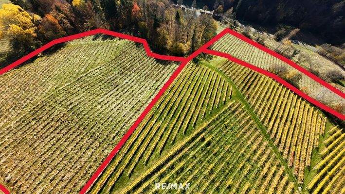 Zone II ungefährer Grenzverlauf