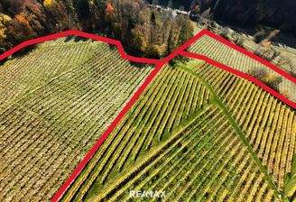 Zone II ungefährer Grenzverlauf