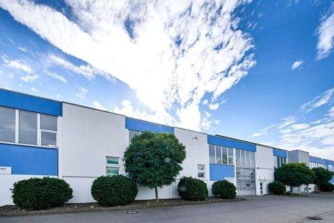 Illertissen Halle, Illertissen Hallenfläche