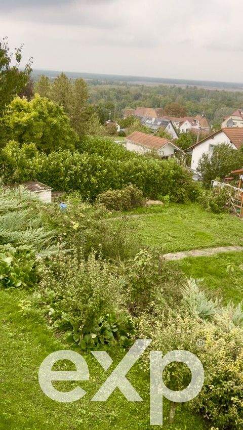 Bad Bellingen / Rheinweiler Grundstücke, Bad Bellingen / Rheinweiler Grundstück kaufen