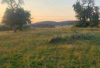 IMG_1444.jpeg