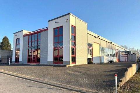 Neunkirchen-Seelscheid Halle, Neunkirchen-Seelscheid Hallenfläche