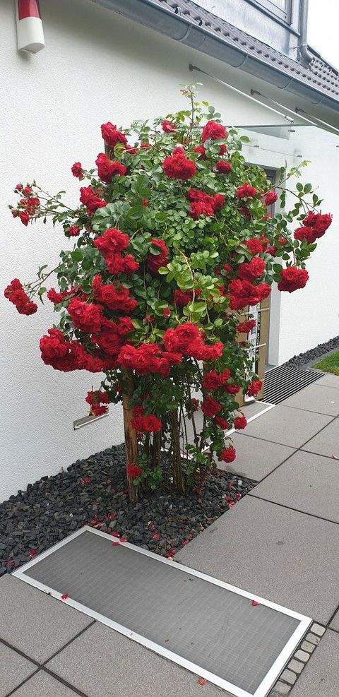 München Häuser, München Haus kaufen