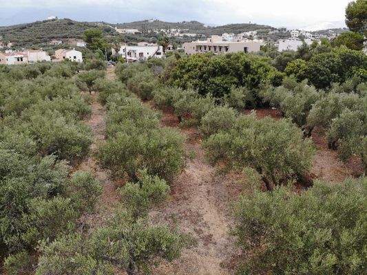 Kreta, Almyrida: Grundstück in Strandnähe mit Meerblick zu verkaufen