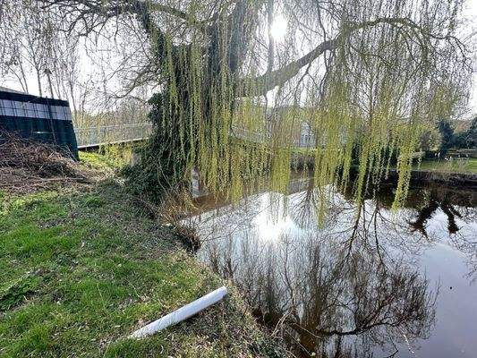 2026-03-23_15-32-56_695