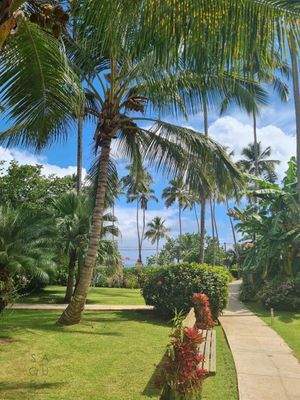 407574590_326218806834330_7750313831838538310_n