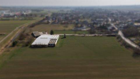 Neusiedl an der Zaya Halle, Neusiedl an der Zaya Hallenfläche