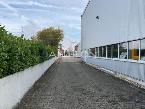 Dormagen Halle, Dormagen Hallenfläche